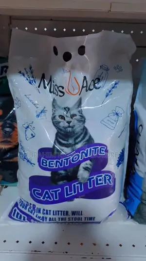 Pet Accessories
