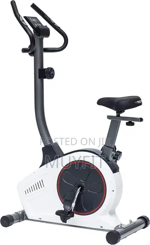 Recumbent Bikeelegant and Robust Recumbent Bike
