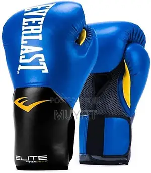 Quality Everlast Boxing Glove (Different Color and Sizes)