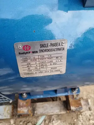 1115 Rixuan Diesel Generator 15kva