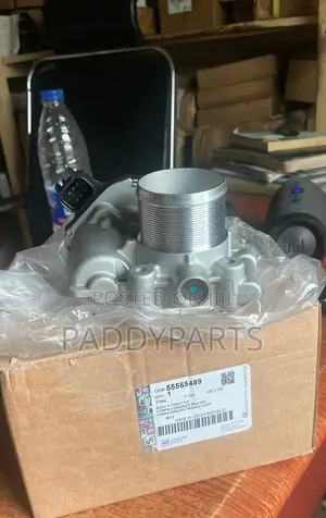 Buick Encore Throttle Body/Injector Mouth 2013-2021