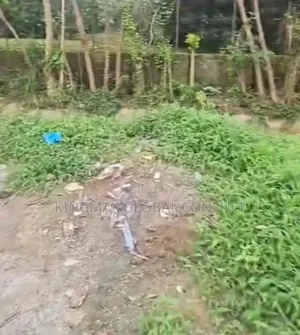 A Residential Land in the Heart of Maitama Is Available for Sale: