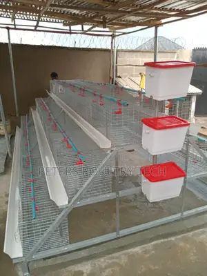 Poultry Battery Cage