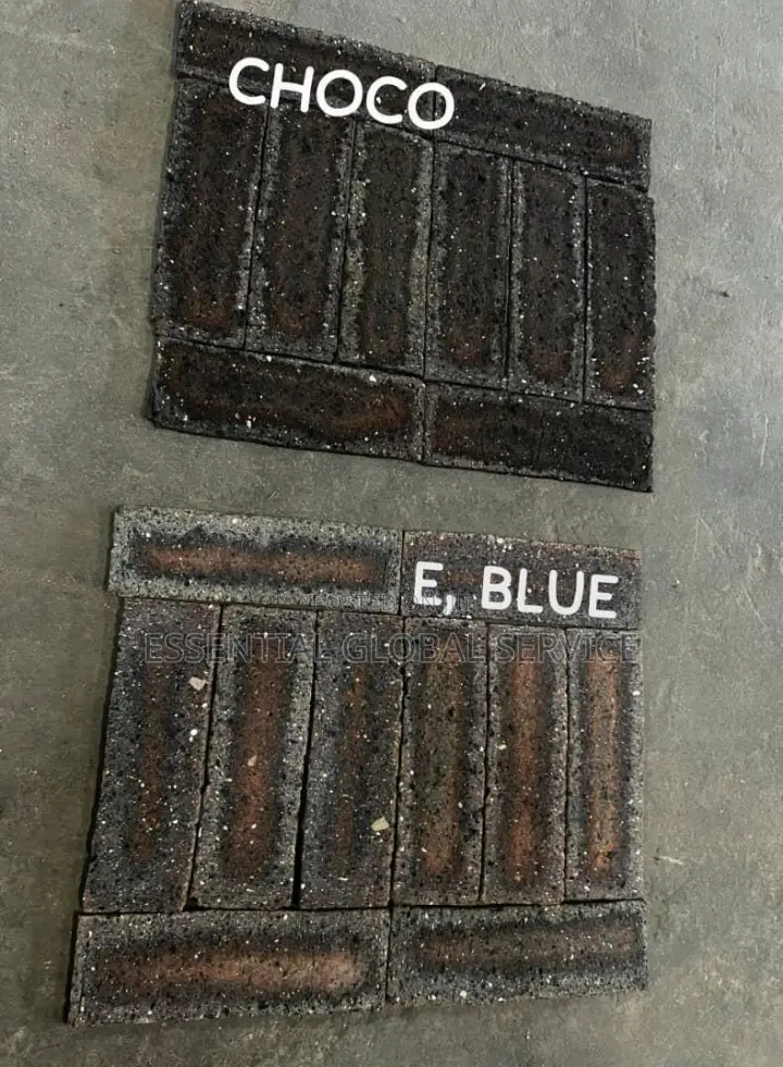 South Africa Bricks