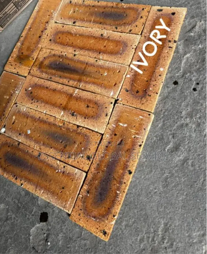 South Africa Bricks