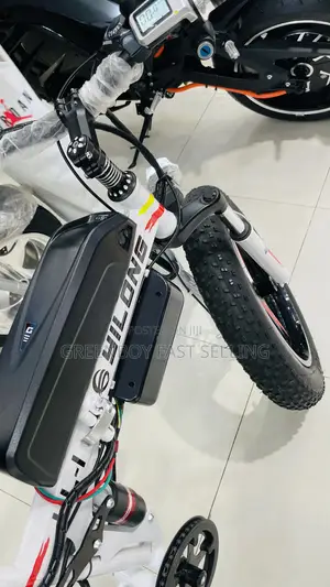 Brand New Electric Bicycle