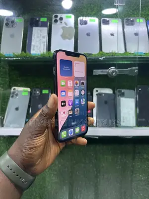 Apple iPhone 12 Pro Max 128 GB Blue