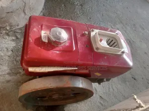 R175 Diesel Engine With Radiator