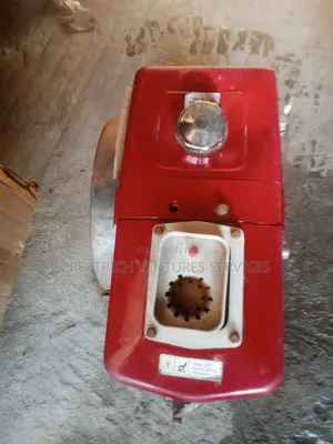 R175 Diesel Engine With Radiator