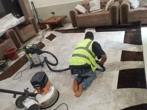 Upholstery/Carpet Cleaning