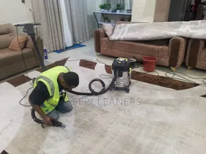 Upholstery/Carpet Cleaning