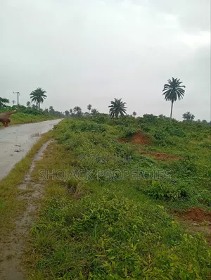 For Sale: 300 Plots, Aluu, Portharcourt