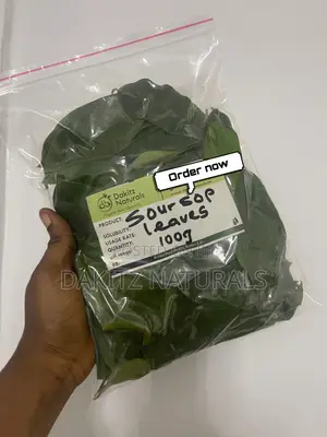 Soursop Leaves 100g (100+ Fresh Soursop Leaves)