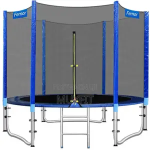 Trampoline With Ladder
