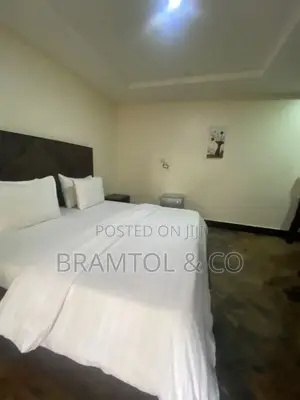 Furnished 1bdrm Block of Flats in Wuse 2 for rent
