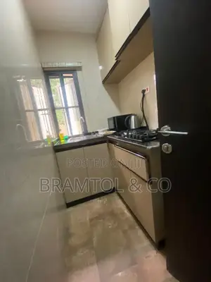 Furnished Studio Apartment in Wuse 2 for rent