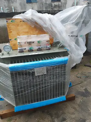 Premium Quality Astor 11kv Transformer