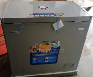 Brand New Polystar Deep Freezer 250l Inverter