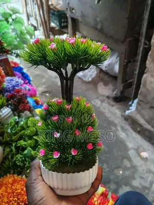 Table Cup Flowers