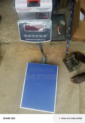 300kg Digital Electronic Stainless Scale