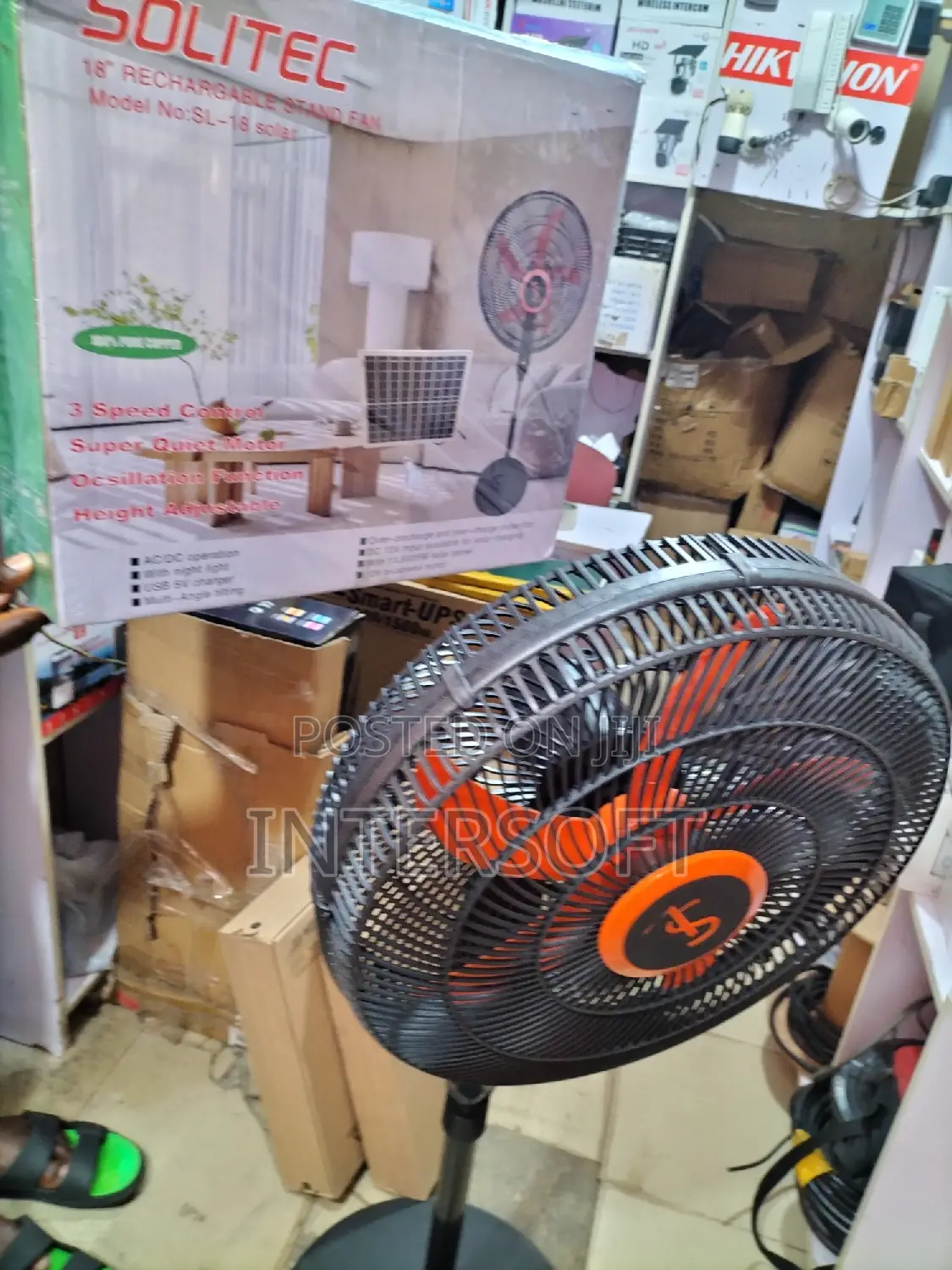 Rechargeable Solar, Standing Farn