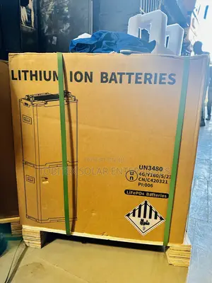 Blue Carbon Lithium Ion Batteries 15kwh 51.2v
