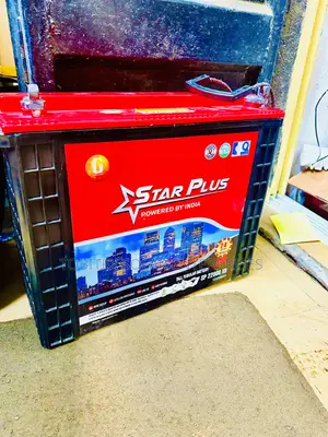 220ah Star Plus Tubular Batteries