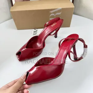 Luxury Zara Heels