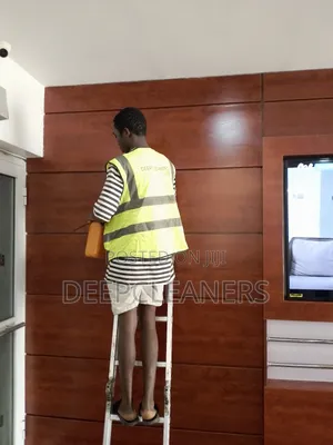 Cleaning Guru