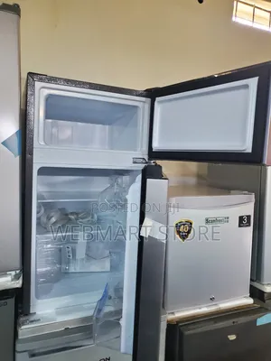 Standing Fridge Double Door