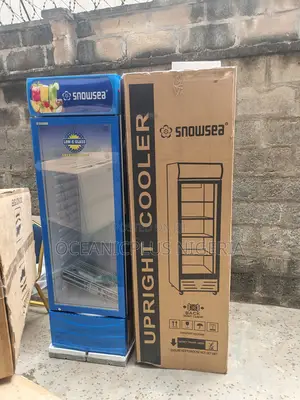 Secure Snowsea 300 Liters Upright Showcase Freezer Chiller Lc-300