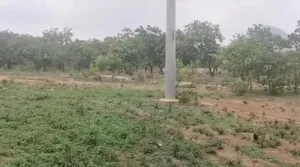 Land for Sale: Size 2,731sqm C of O Price 500m Tarrad Road