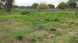Land for Sale at Dakibiyu
Size 1,232sqm
C of O
Residential