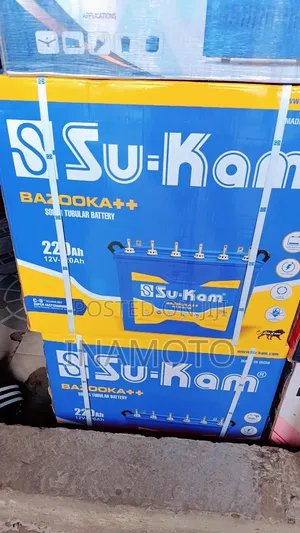 Indian Tubular Battery