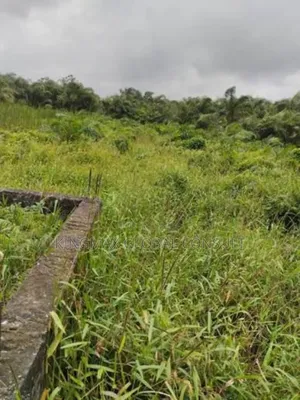 Residential Land for Sale at Jahi
Plot 410
Size 792sqm
C of O