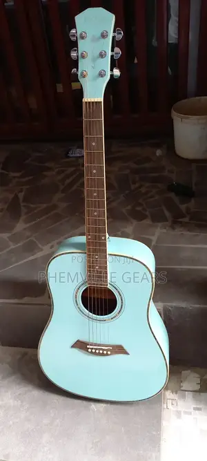 Quality Uk Used Dame Acoustic Guitar