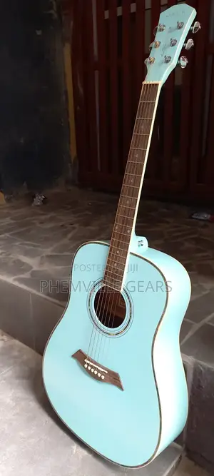 Quality Uk Used Dame Acoustic Guitar