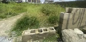 1600sqm Joint Venture Land at Freedom Way, Ikate Lekki