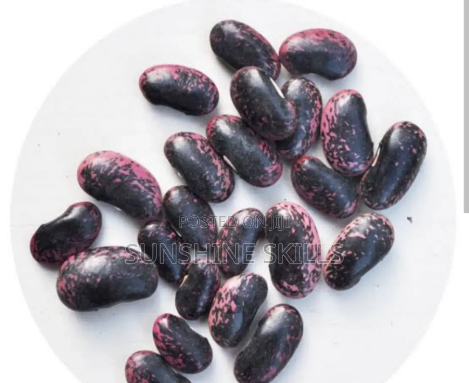 Runner or Green Beans Seeds