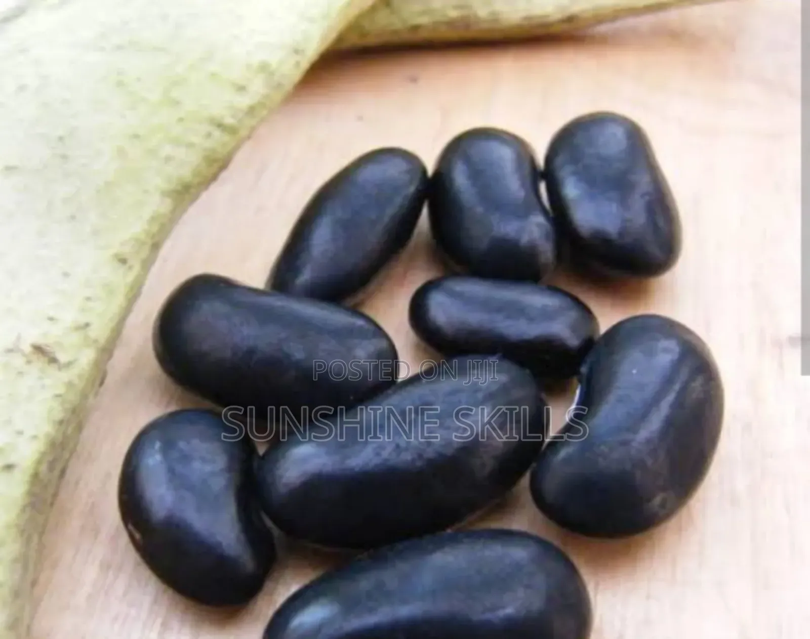 Runner or Green Beans Seeds