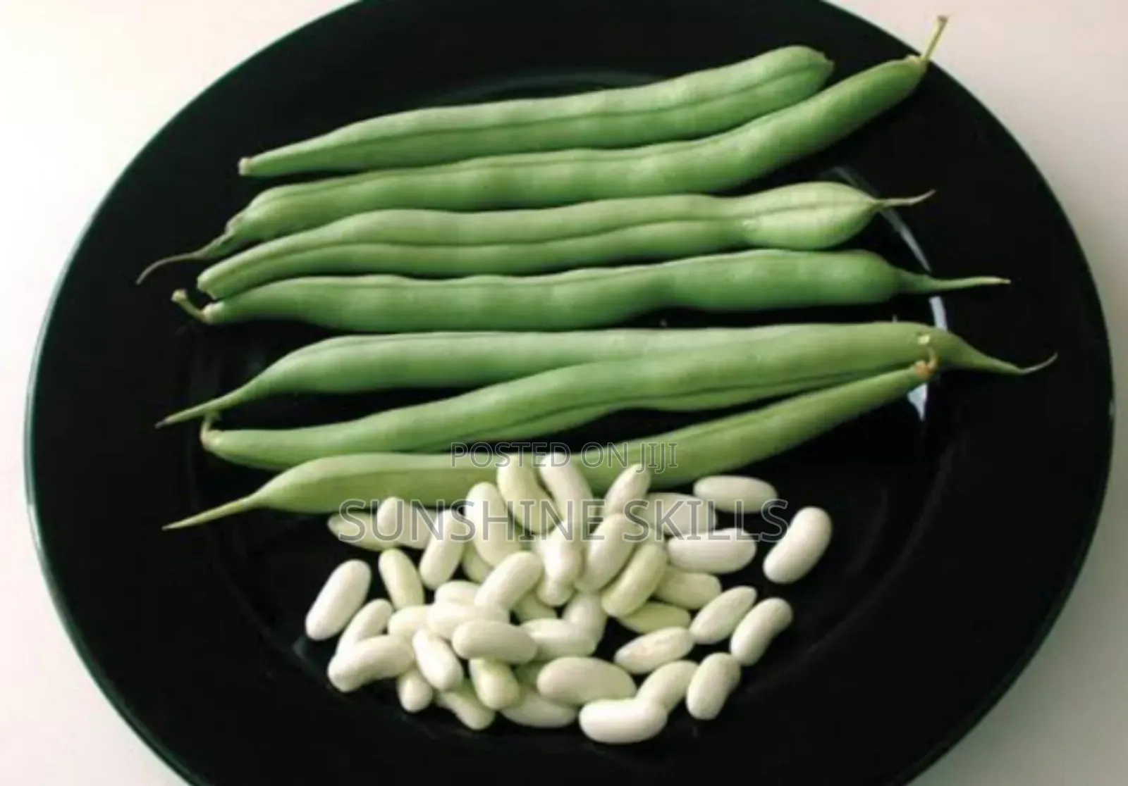 Runner or Green Beans Seeds