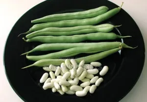 Runner or Green Beans Seeds
