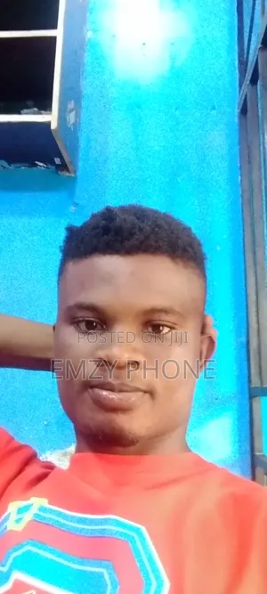 Phone Technician