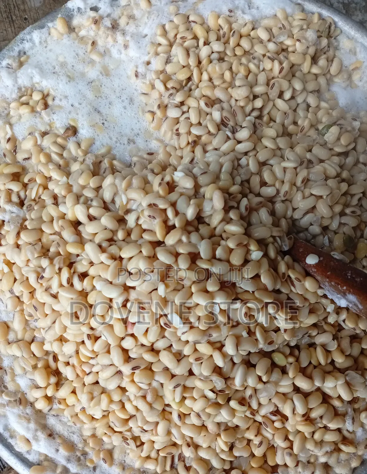 Soya Protein Mix Powder