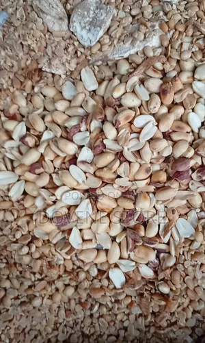 Soya Protein Mix Powder
