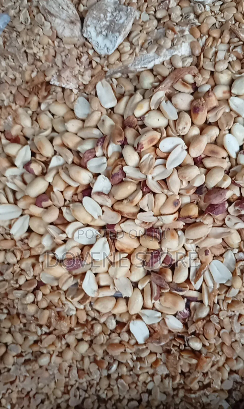 Soya Protein Mix Powder
