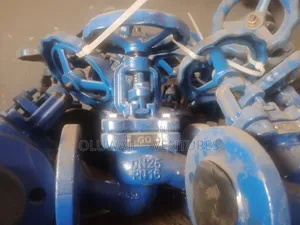 1" Globe Valve With Flange Ends ( All Diameter Available )