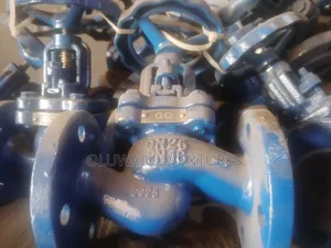 1" Globe Valve With Flange Ends ( All Diameter Available )