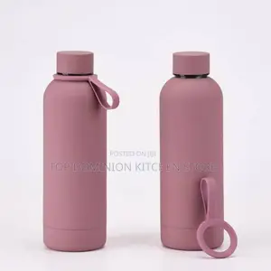 500ml Stainless Steel Insulated Water Bottle
