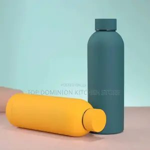 Insulated Stainless Steel Water Bottle